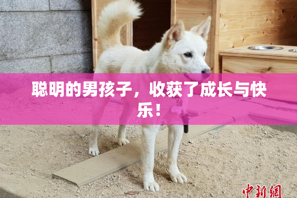 聪明的男孩子，收获了成长与快乐！
