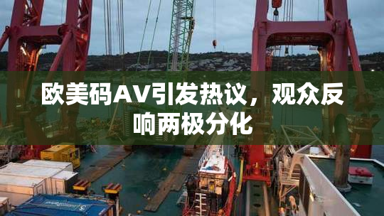 欧美码AV引发热议，观众反响两极分化