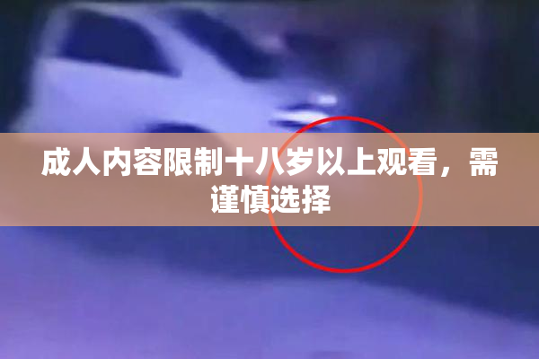 成人内容限制十八岁以上观看，需谨慎选择