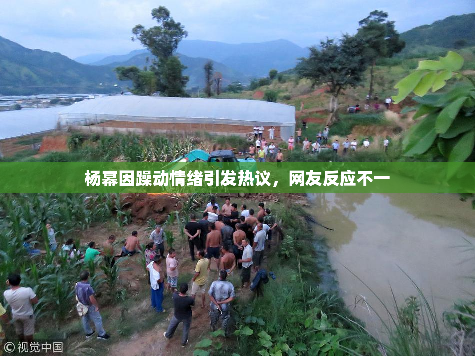 杨幂因躁动情绪引发热议，网友反应不一