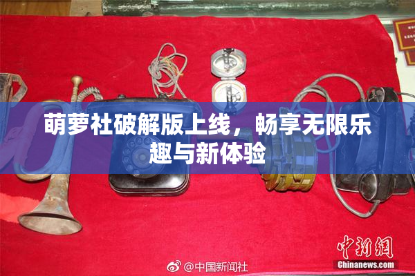 萌萝社破解版上线，畅享无限乐趣与新体验