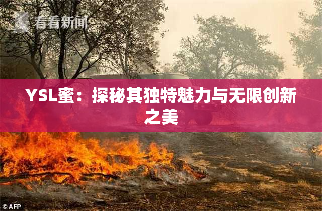 YSL蜜：探秘其独特魅力与无限创新之美