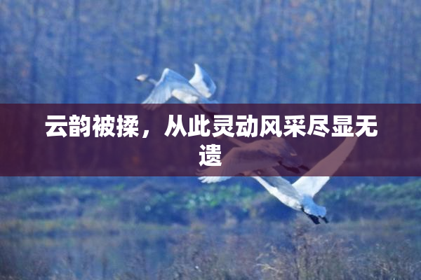 云韵被揉，从此灵动风采尽显无遗