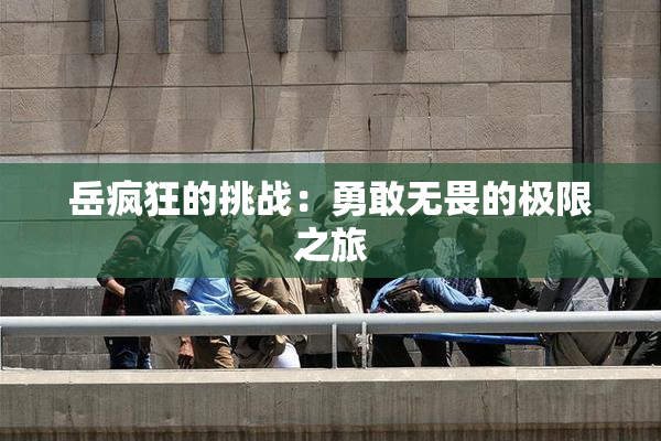 岳疯狂的挑战：勇敢无畏的极限之旅