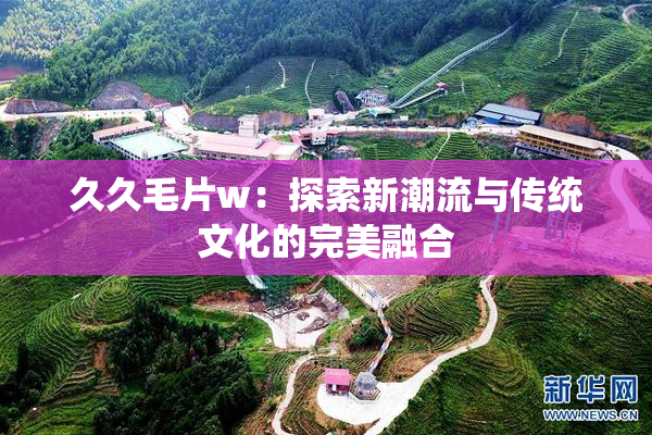 久久毛片w：探索新潮流与传统文化的完美融合