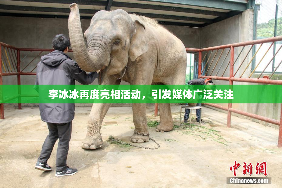 李冰冰再度亮相活动，引发媒体广泛关注
