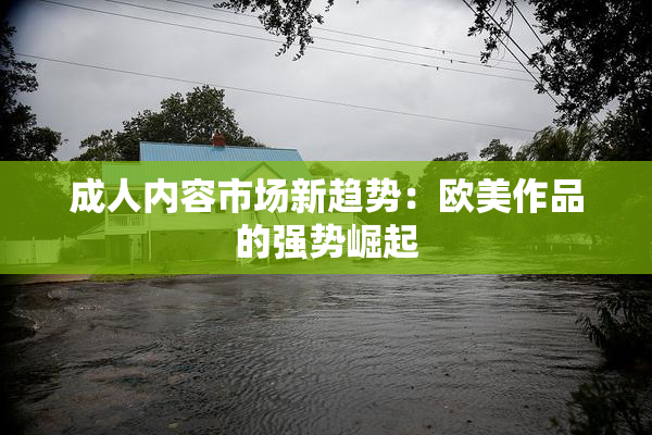 成人内容市场新趋势：欧美作品的强势崛起