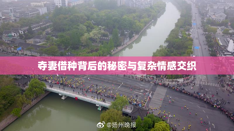 夺妻借种背后的秘密与复杂情感交织