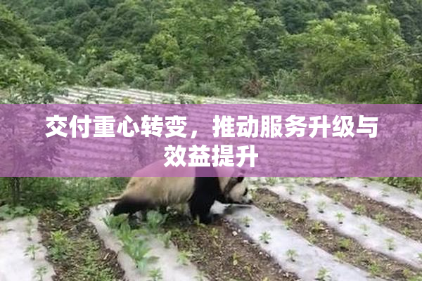 交付重心转变，推动服务升级与效益提升
