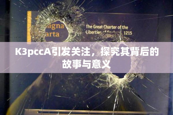 K3pccA引发关注，探究其背后的故事与意义