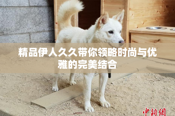 精品伊人久久带你领略时尚与优雅的完美结合