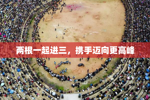 两根一起进三，携手迈向更高峰