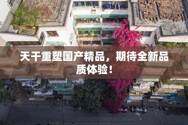 天干重塑国产精品，期待全新品质体验！