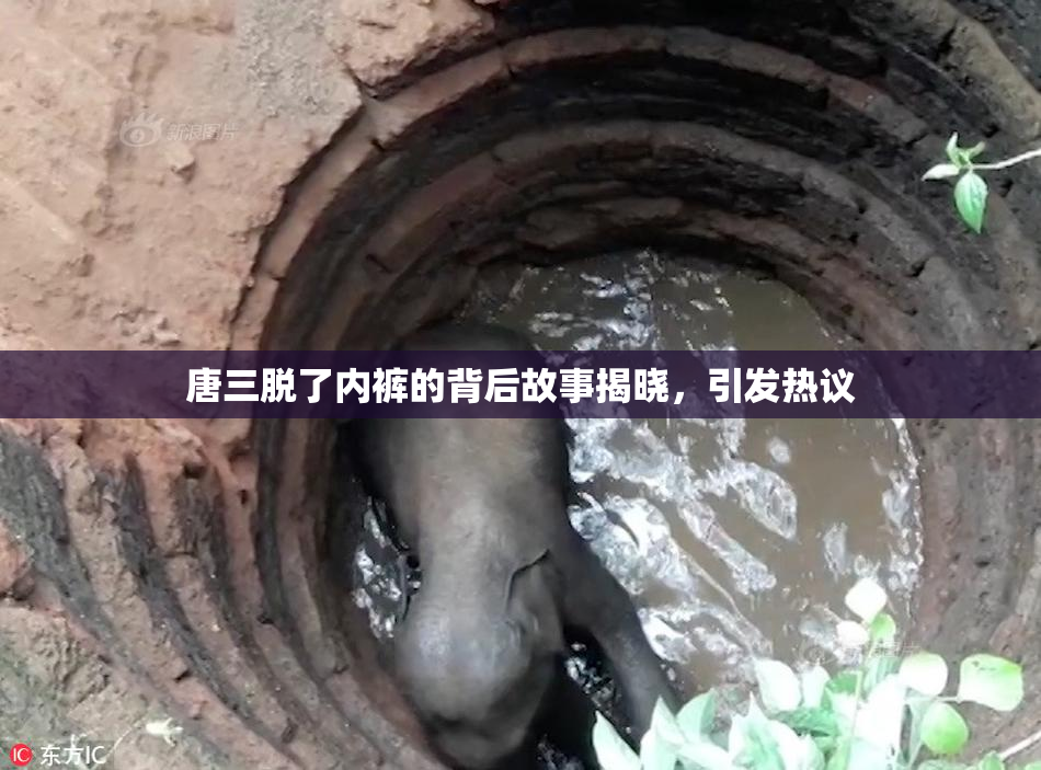唐三脱了内裤的背后故事揭晓，引发热议
