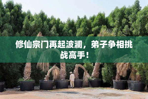 修仙宗门再起波澜，弟子争相挑战高手！