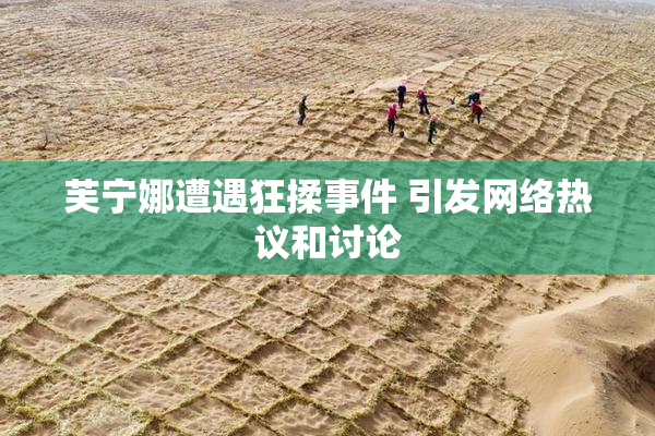 芙宁娜遭遇狂揉事件 引发网络热议和讨论