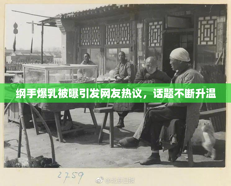 纲手爆乳被曝引发网友热议，话题不断升温