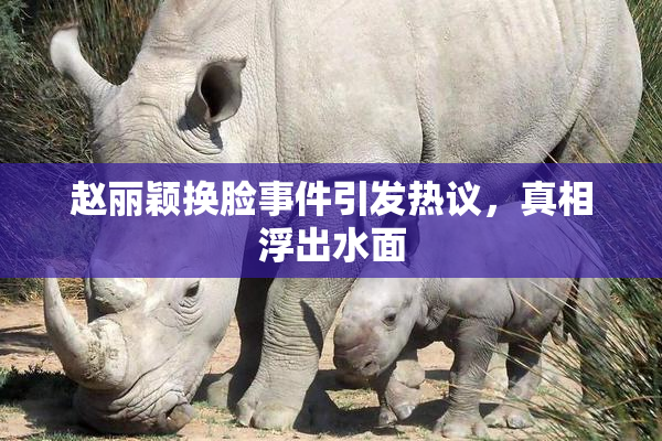 赵丽颖换脸事件引发热议，真相浮出水面