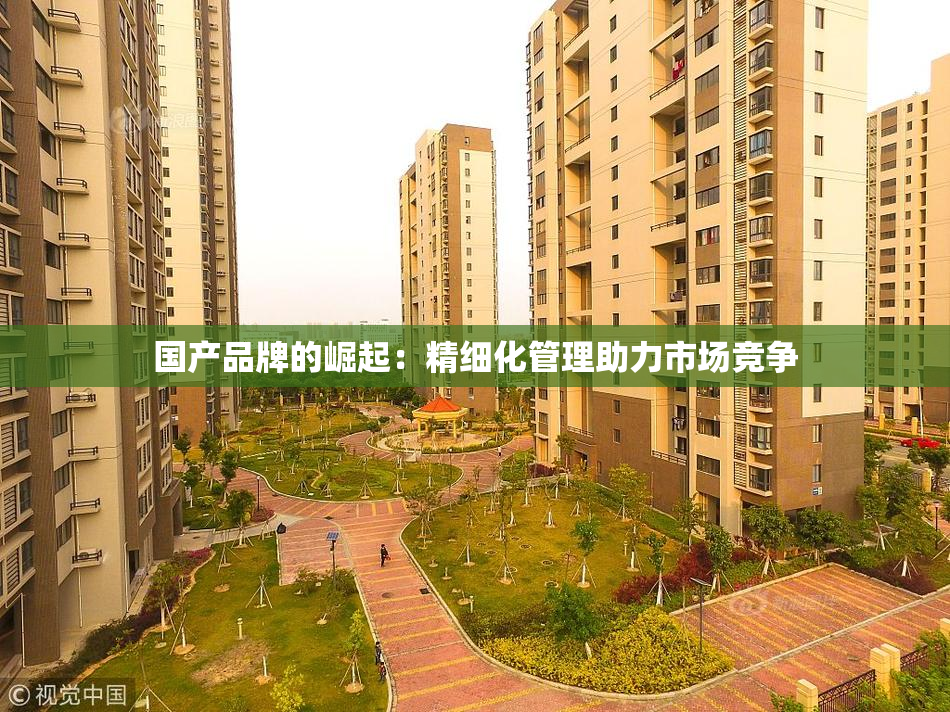 国产品牌的崛起：精细化管理助力市场竞争