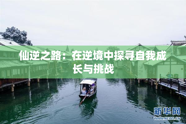 仙逆之路：在逆境中探寻自我成长与挑战