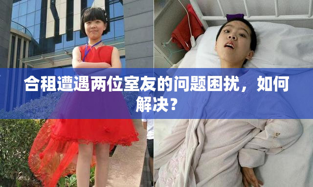 合租遭遇两位室友的问题困扰，如何解决？