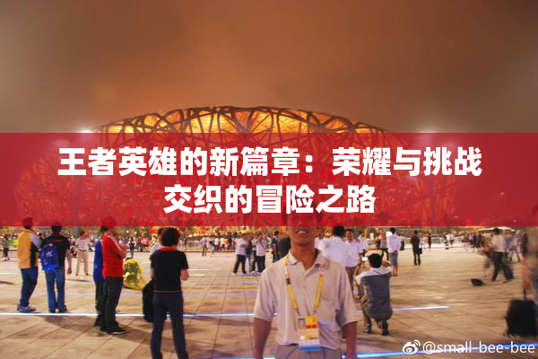 王者英雄的新篇章：荣耀与挑战交织的冒险之路