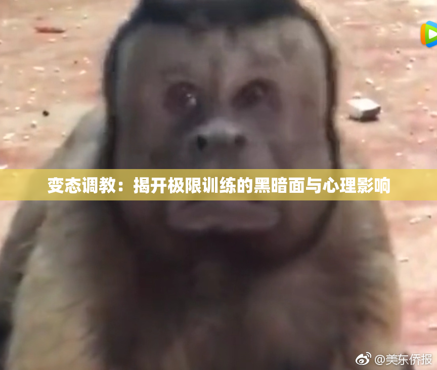 变态调教：揭开极限训练的黑暗面与心理影响