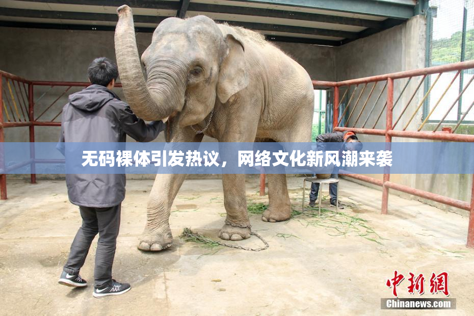 无码裸体引发热议，网络文化新风潮来袭