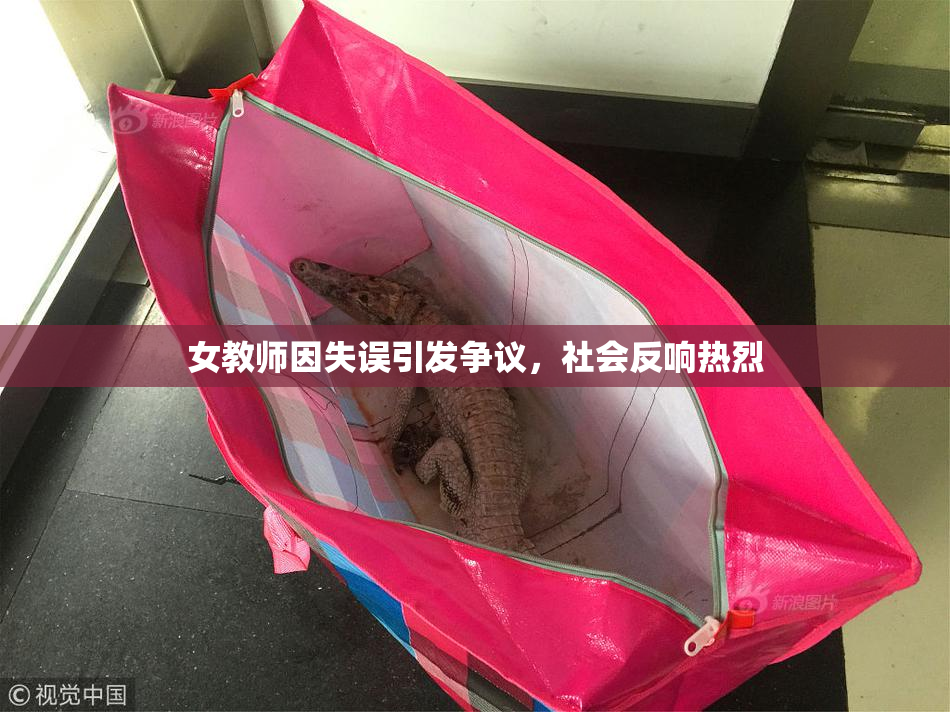 女教师因失误引发争议，社会反响热烈