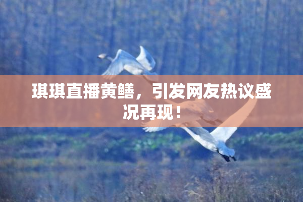 琪琪直播黄鳝，引发网友热议盛况再现！