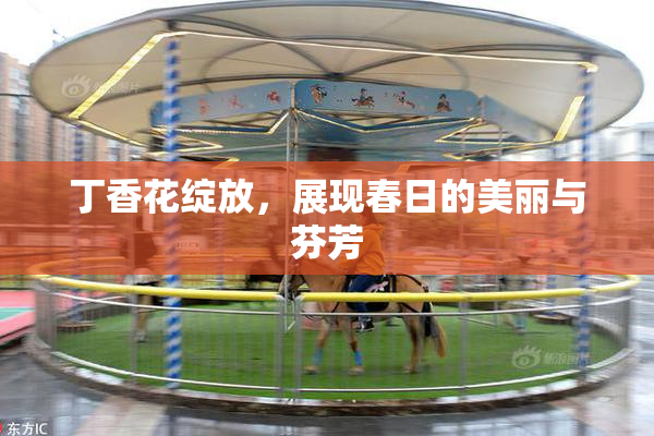 丁香花绽放，展现春日的美丽与芬芳