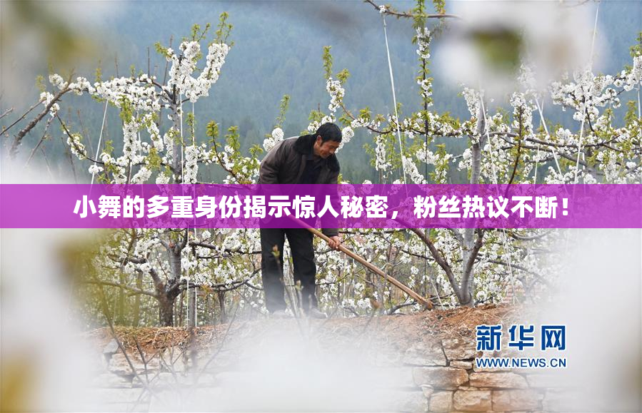 小舞的多重身份揭示惊人秘密，粉丝热议不断！