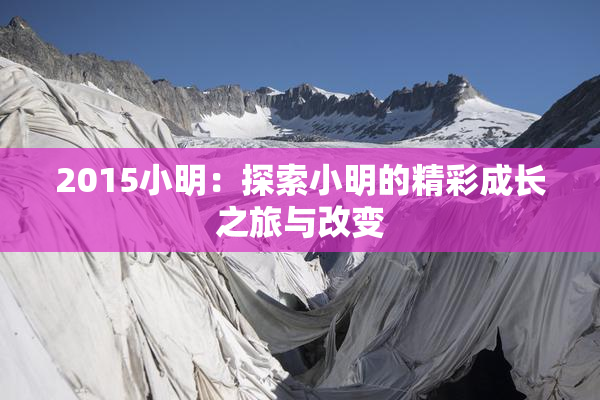 2015小明：探索小明的精彩成长之旅与改变