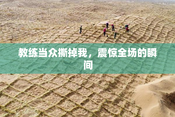 教练当众撕掉我，震惊全场的瞬间