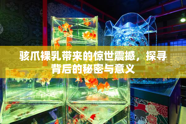 骇爪裸乳带来的惊世震撼，探寻背后的秘密与意义