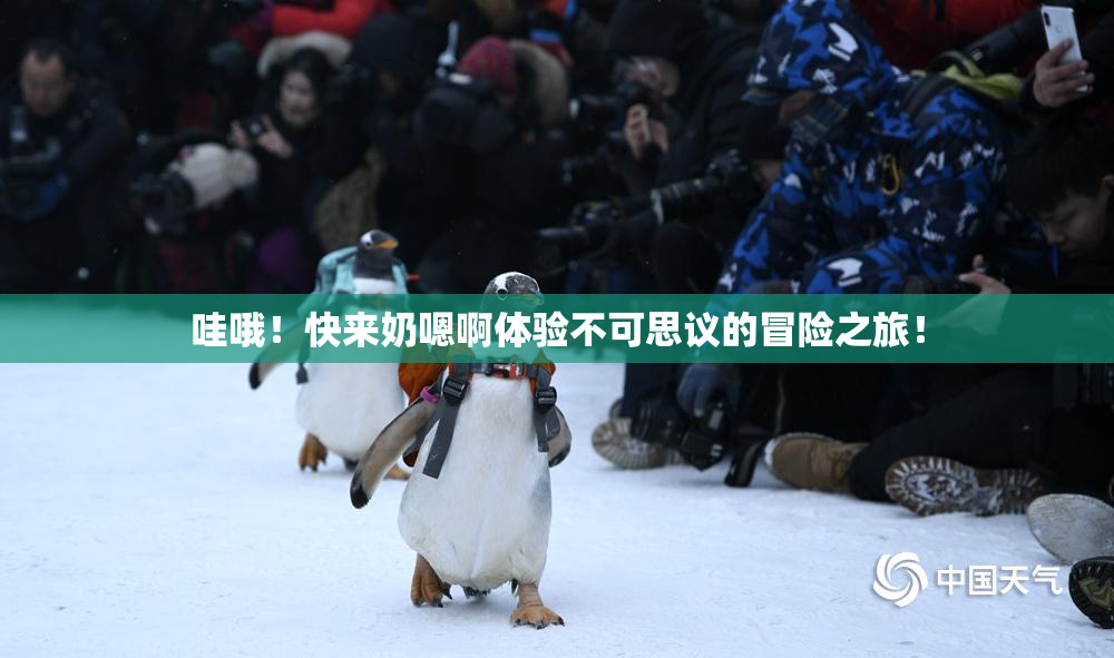 哇哦！快来奶嗯啊体验不可思议的冒险之旅！