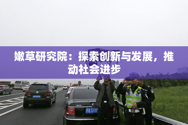 嫩草研究院：探索创新与发展，推动社会进步