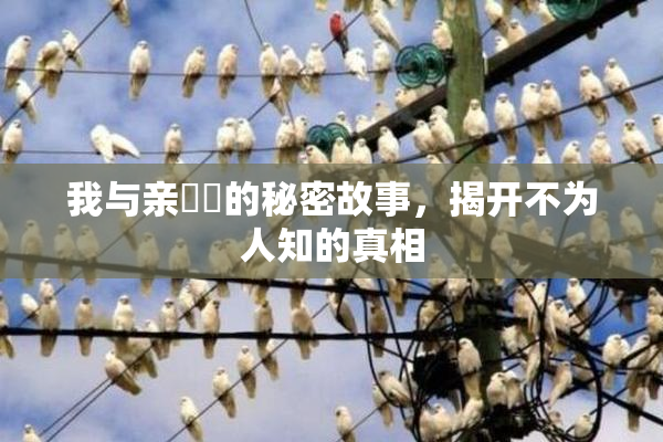 我与亲妺妺的秘密故事，揭开不为人知的真相