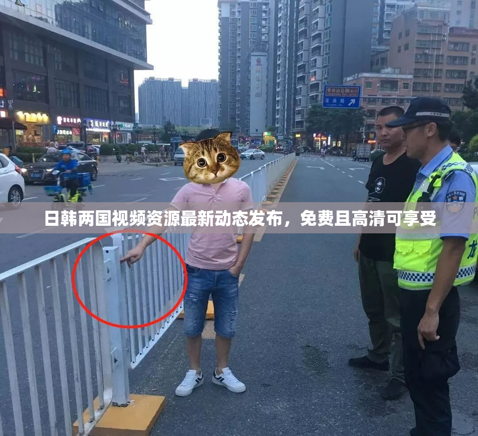 日韩两国视频资源最新动态发布，免费且高清可享受