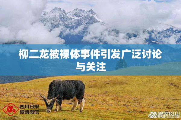 柳二龙被裸体事件引发广泛讨论与关注