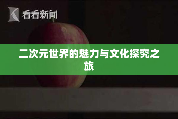 二次元世界的魅力与文化探究之旅