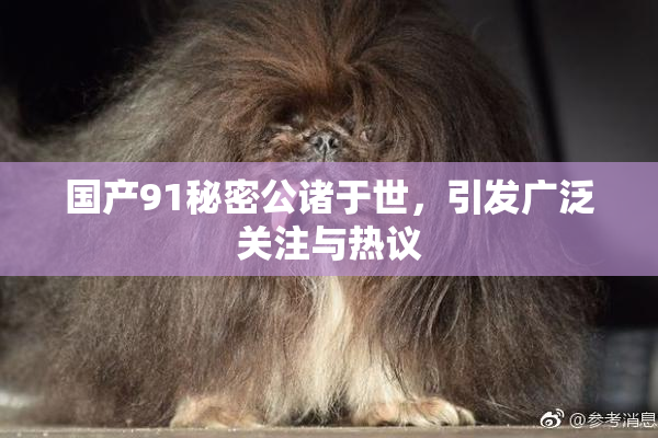 国产91秘密公诸于世，引发广泛关注与热议
