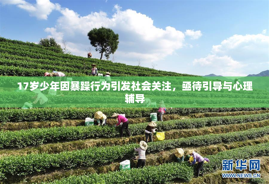 17岁少年因暴躁行为引发社会关注，亟待引导与心理辅导