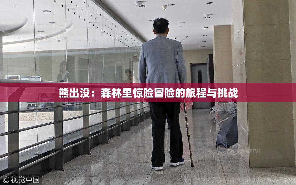 熊出没：森林里惊险冒险的旅程与挑战