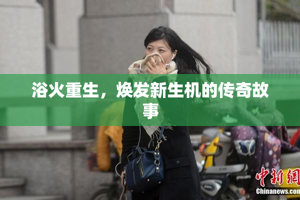 浴火重生，焕发新生机的传奇故事