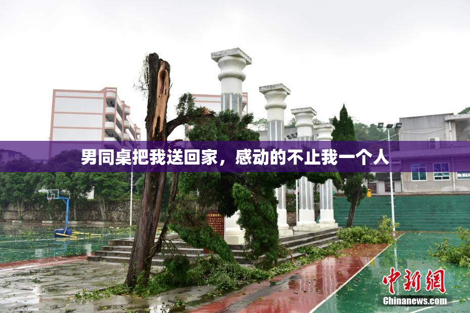 男同桌把我送回家，感动的不止我一个人