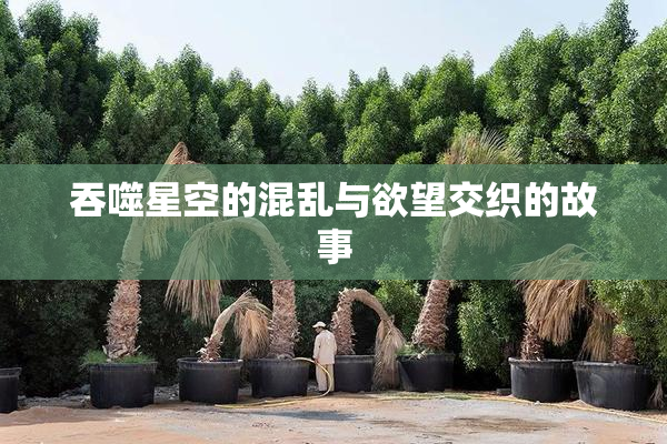 吞噬星空的混乱与欲望交织的故事