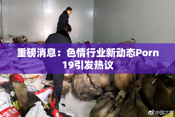 重磅消息：色情行业新动态Porn19引发热议