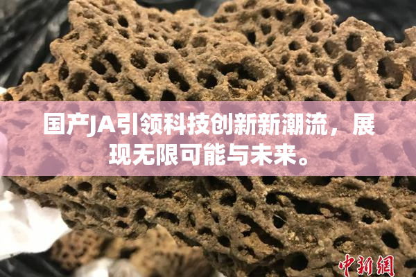 国产JA引领科技创新新潮流，展现无限可能与未来。