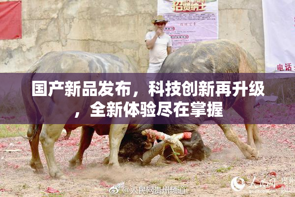 国产新品发布，科技创新再升级，全新体验尽在掌握